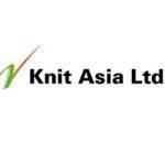 Logo 30 – Knit Asia